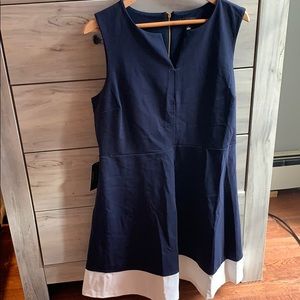 NWT Limited Nautical Dress